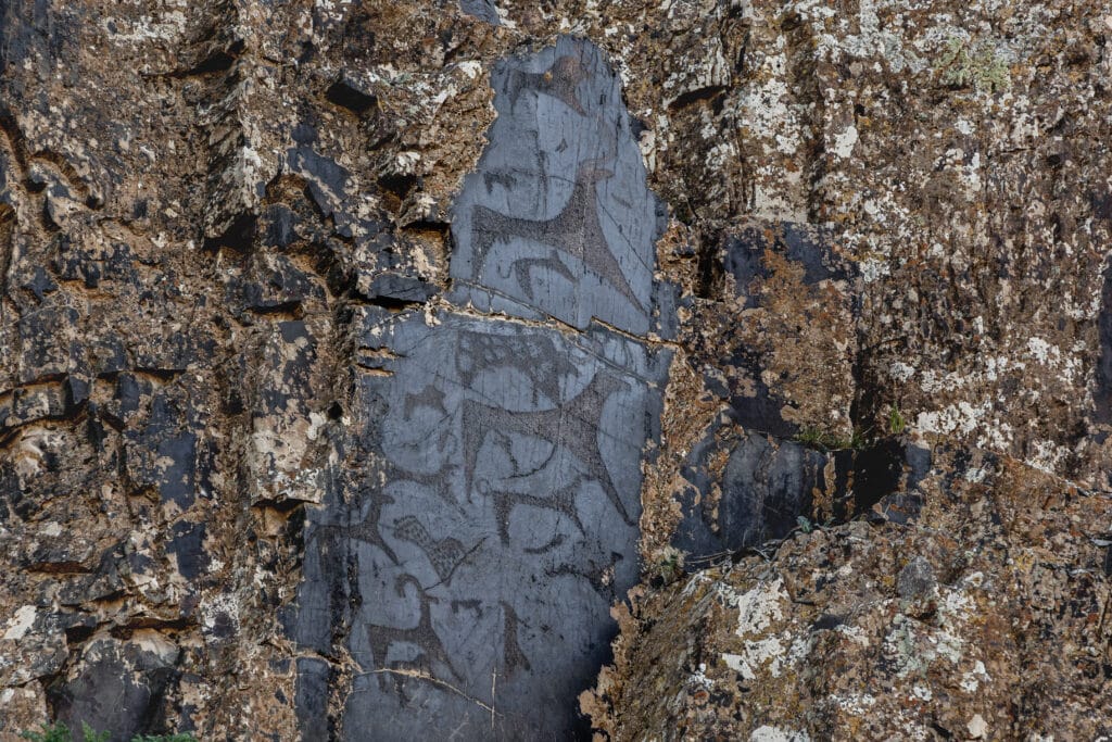 Sarmysh Say Petroglyphs in Uzbekistan