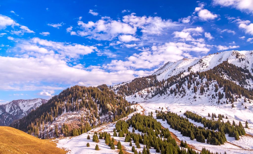 Kok Zhailau area near the Almaty city, Kazakhstan