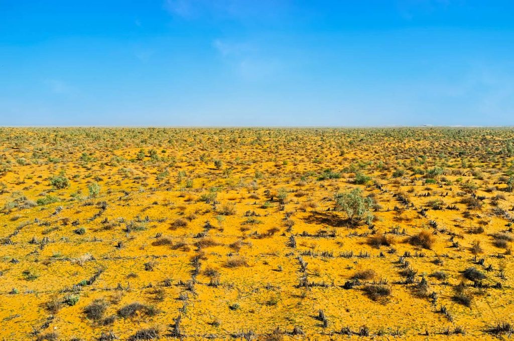 Kyzyl Kum desert
