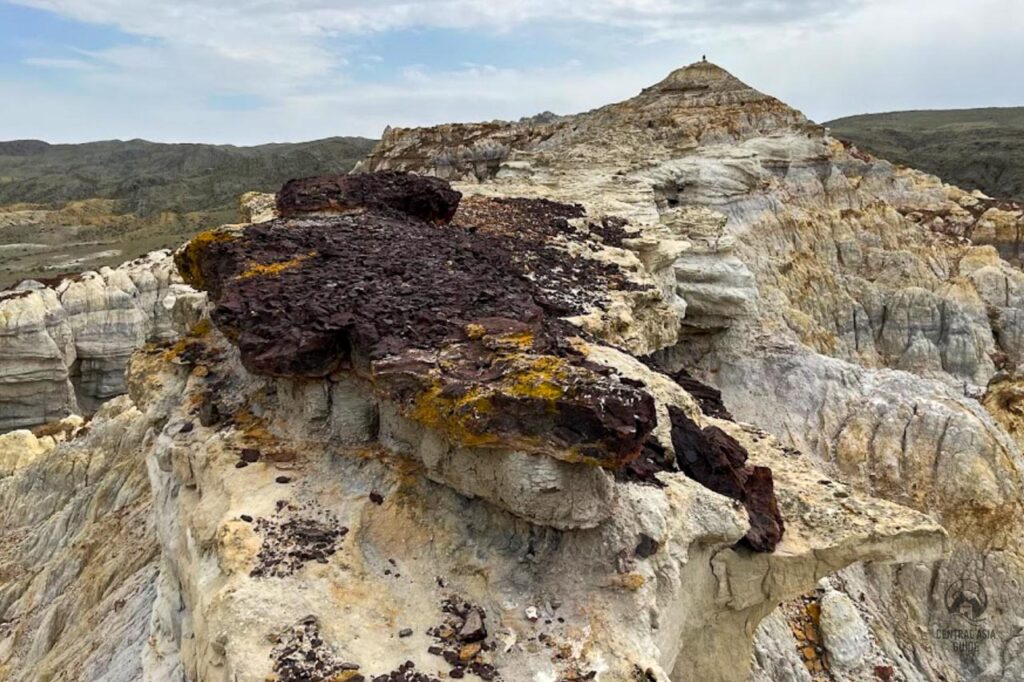 Mangystau Kokala petrified wood charcoal