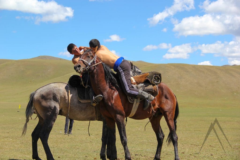 Oodarys or Er Enish is wrestling on horseback