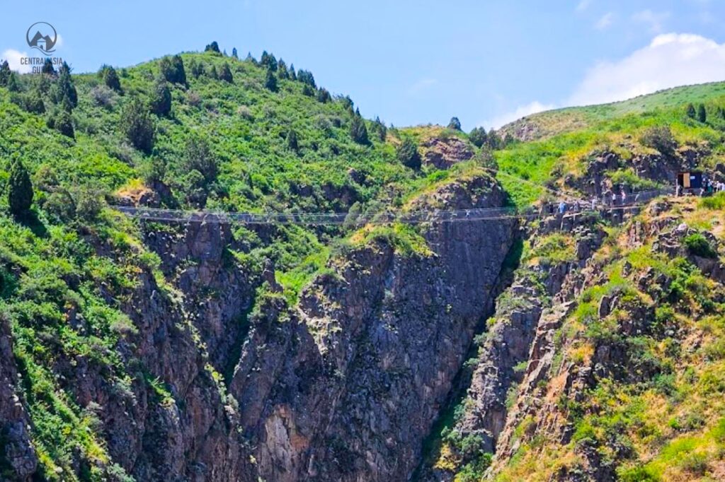 Rope bridge near pigeon waterfall