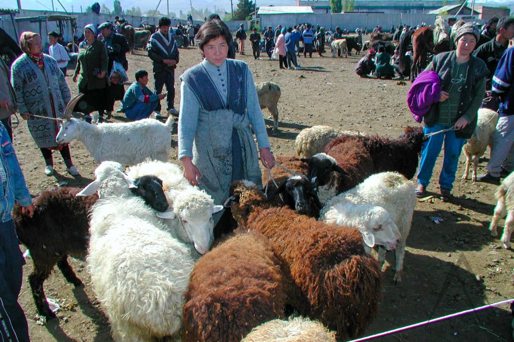 Sunday animal bazar in Karakol, Kyrgyzstan
