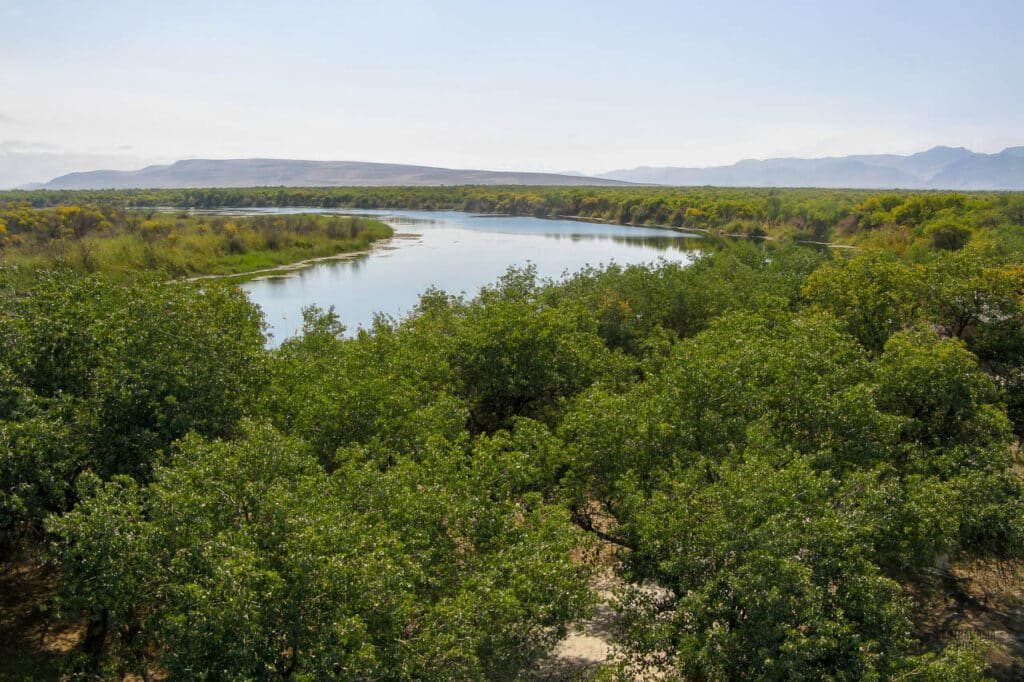 Tigrovaya Balka Tugay forests are a UNESCO site in Southern Tajikistan next to Amu Darya river