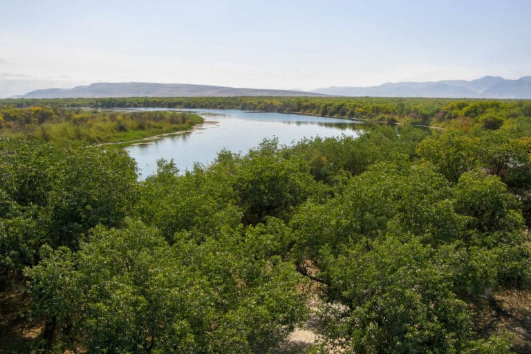 Tigrovaya Balka Tugay forests are a UNESCO site in Southern Tajikistan next to Amu Darya river