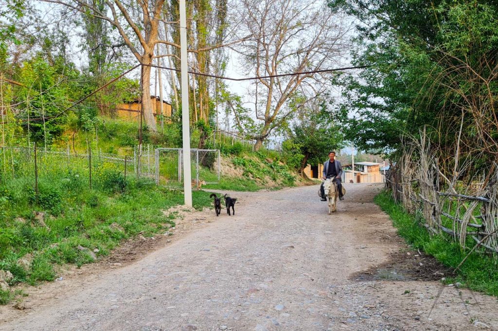 A local man riding a donkey in an Uzbek village