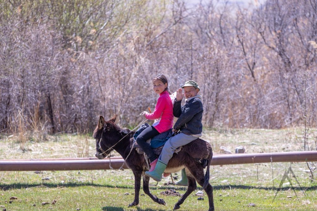 Children riding with a donkey in a Kyrgyz village