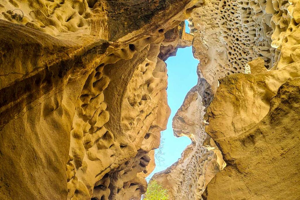 Ybykty Sai Canyon Mangystau